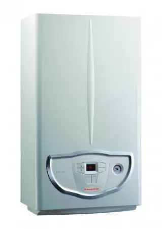   1 .  Immergas Mini Eolo X 24 3E, .